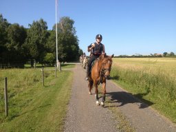 img_1491_web